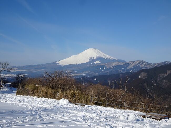 2月の3連休は直前の降雪で関東・山梨の積雪の状況が読めなかったので、久しぶりに大阪の山へ。当初は2日目も西日本の予定でしたが、景色に物足りなさを感じたのと、関東の積雪の状況もある程度分かったことから、一転してまたも富士山展望の山に登ることにしました。<br /><br />＜旅程＞<br />【1日目(2/11金)】<br />　名古屋6:20→7:09新大阪7:13→7:17大阪7:22→7:37新今宮7:50→紀見峠8:31（新幹線＋JR＋南海）<br />　紀見峠駅8:33-10:11岩湧山10:15-11:05滝畑登山口-11:41御光滝-12:11滝畑登山口-13:20槇尾山-13:24蔵岩-13:52槇尾山バス停（徒歩）<br />　槇尾山14:00→14:12槇尾中学校前14:28→和泉中央駅14:56（オレンジバス＋南海バス）<br />　和泉中央15:07→15:38難波/なんば15:42→新大阪15:57（泉北高速鉄道＋南海＋御堂筋線）<br />　新大阪17:48→19:57三島20:02→沼津20:08（新幹線＋JR東海道線）<br />【2日目(2/12土)】<br />　沼津6:00→谷峨6:52（JR御殿場線）<br />　谷峨駅6:56-8:14大野山8:28-9:43山北駅（徒歩）<br />　山北10:17→御殿場10:43（JR御殿場線）<br />　御殿場駅11:45→13:00河口湖駅13:35→本栖湖観光案内所14:25（富士急バス）<br />　本栖湖観光案内所バス停14:38-15:19烏帽子岳15:24-15:40パノラマ台15:44-16:12パノラマ台下バス停（徒歩）<br />　子抱き富士ビューポイント16:35→河口湖駅17:15（富士急バス）<br />　河口湖駅18:00→名古屋(星ヶ丘)22:05（名鉄バス）