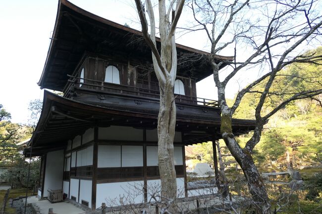 2022年1月8日-10日、冬の京都に行きました♪<br />ホテルライフとグルメ、寺や神社、庭園をたっぷりと楽しんできました♪<br /><br />☆Vol.29　1月8日：京都♪<br />ホテルのチェックインまでに寺院の庭園めぐり。<br />京都観光キャンペーン「京の冬の旅」特別公開庭園の仁和寺。<br />西日に当たって黄金色に輝く金閣寺。<br />影の濃い美しい冬庭園の曼殊院。<br />次は銀閣寺へ。<br />銀閣寺も金閣寺と同様に修学旅行以来。<br />ほとんど覚えていない。<br />目に飛び込むのは白い砂利を使った美しい幾何学的な模様。<br />プリンのような形をした砂山。<br />広大な池に山の傾斜を利用したダイナミックな庭園。<br />池の畔に立つわび・さびの象徴的な銀閣寺。<br />黄昏は影が濃くなるが、<br />木々の葉を落としており、明るい。<br />そのおかげて木々を越して見渡せる。<br />冬の美しい庭園を鑑賞したら、<br />ハイヤーでホテルへ。<br />その行く途中に漬け物屋に立ち寄り、<br />冬限定の漬け物をたくさん買って自宅へ発送。<br />間もなく、ホテル♪