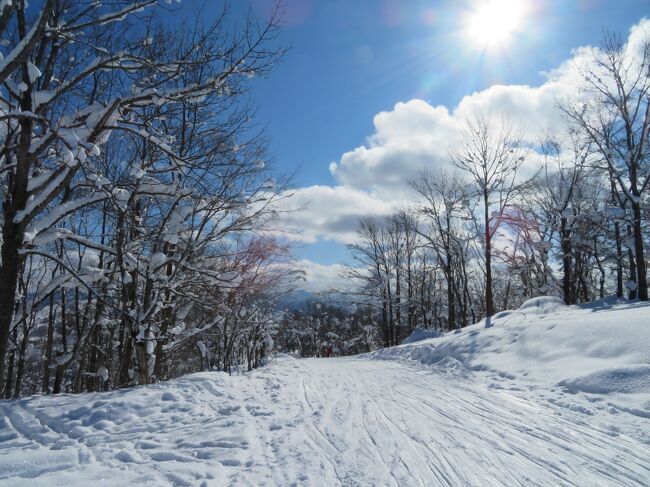 かもい岳 de SKI ! Feb 2022 