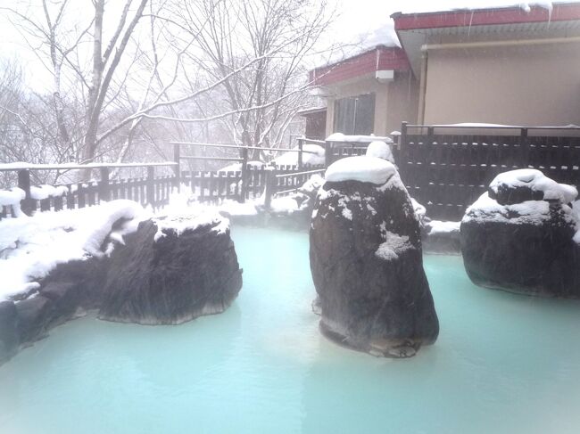 ずっと前に見たJR東日本の旅行パンフレット、松川温泉、雪の露天風呂、峡雲荘やっと念願かなって行って来ました。<br />そしてせっかくなのでもう１日して鉛温泉の藤三旅館の立ち湯にも挑戦、満足の温泉旅行でした。<br /><br />2/4（金）<br />　やまびこ５５号<br />　東京(09時40分)→盛岡(12時54分)トクだ値35%OFF<br />　岩手県北バス<br />　盛岡駅前(13時42分)→松川温泉(15時32分)：少し遅れる<br />　松川温泉「峡雲荘」宿泊<br /><br />★2/5（土）＃2ここ<br />　松川温泉：松楓荘　日帰り入浴（午前）<br />　松川温泉：松川荘　日帰り入浴（午後）<br />　松川温泉「峡雲荘」宿泊<br /><br />2/6（日）<br />　岩手県北バス<br />　松川温泉(9時45分)→盛岡駅前(11時34分)<br />　光源社本店：見学<br />　盛楼閣：昼食<br />　JR東北本線<br />　盛岡(13時52分)→花巻(14時28分）<br />　花巻南温泉峡（無料送迎シャトルバス）<br />　花巻駅(15時25分)→鉛温泉(16時05分）<br />　鉛温泉「藤三旅館」宿泊<br /><br />2/7（月）<br />　花巻南温泉峡（無料送迎シャトルバス）<br />　鉛温泉(9時47分)→花巻駅(10時30分）<br />　林風舎：見学<br />　茶寮かだん：喫茶<br />　マルカンビル大食堂：昼食<br />　JR東北本線<br />　花巻(14時01分)→北上(14時12分）<br />　やまびこ６２号<br />　北上(15時30分)→東京(18時24分)トクだ値35%OFF