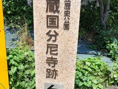 東京散歩７　国分寺　お寺があるのか興味があったから行ってみた　後編