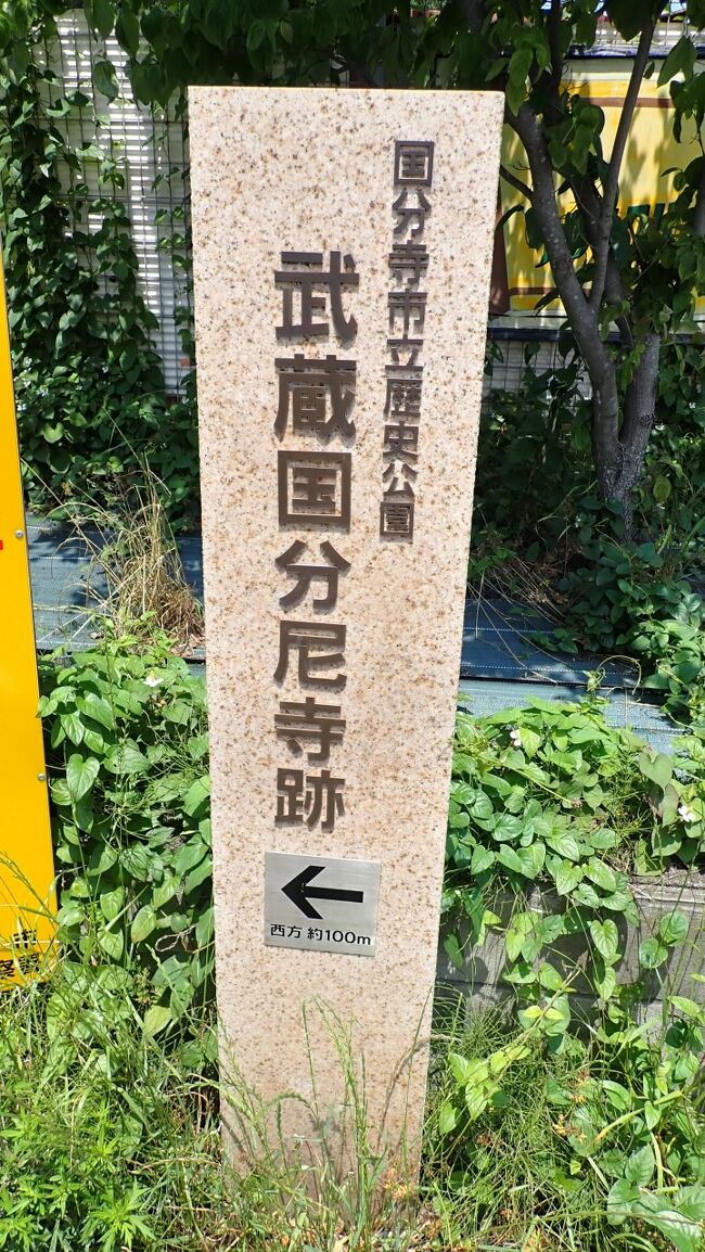 JR東日本の企画の駅からハイキング、「東京の中心（へそ）、国分寺で歴史と自然を感じながらの散策」に参加した時の記録です。JR国分寺駅から武蔵国分寺跡までの散歩の記録です。<br /><br />武蔵国分尼寺跡から数々のお寺をめぐって国分寺駅までの散歩の紹介です。<br /><br />撮影は練習かてらオリンパスのTG６で撮影しました。