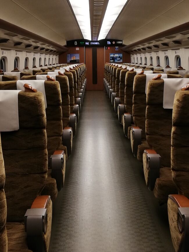 長崎へプチ旅行をする予定の熊本行きでしたが、予定変更となってしまいました。<br /><br />久々に夜中に到着する新幹線利用で熊本入りをし、次の日はおいちゃんを逆に迎えに朝から天草へ出向き、熊本市内へ戻ってきます。<br /><br /><br />