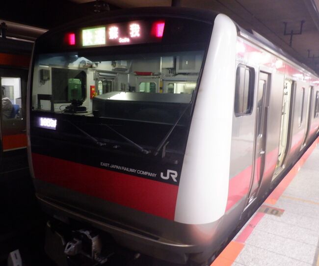 東京駅からは京葉快速（ＪＲ京葉線の快速）に乗りました。
