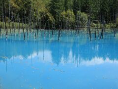 美瑛「青い池」・十勝岳温泉・糠平温泉を訪ね、崩壊寸前・ダム湖に沈むタウシュベツ橋に出会う