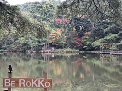 神戸 再度山の紅葉ハイキング