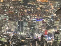 JAL A350-900 搭乗記録(夜の部)東京→大阪 //飛行機から見られる日本一の夜景