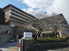 温泉を一杯楽しみ、敷地内の神社を参拝したウエスティン京都ととってもシンメトリーが綺麗な平安神宮へご参拝