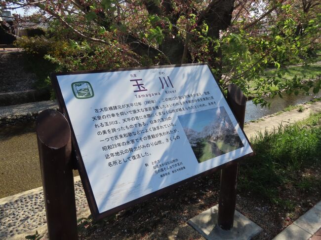 京都 井出 玉川堤の歌碑(Waka Monuments, Tamagawa Dike, Ide, Kyoto, Japan)