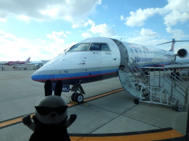 長崎を拠点に運航している航空会社「オリエンタルエアブリッジ」。ボンバルディアのDHC-8-Q200とAKX（ANAウィングス）のDHC-8-Q400を借用して運航している。同社の所有するDHC-8-Q200は機齢も高く、ATR42-600へのリプレースが決まっていて全機が退役することに。現在日本各地を飛び回っているQ400型は74名の定員に対してQ200は39名定員とコンパクトでカワイイ飛行機なのだ。日本の空から消える前に搭乗しようと急遽長崎へ飛ぶことにした。<br /><br />２泊２日の長崎旅。３日目は午前中から仙台へ戻るだけの行程だ。本来なら昨夜のうちに仙台に戻るスケジュールで購入していたが、このご時世ゆえに航空便の変更ができるようになっていたので余裕を持たせて博多泊を追加。おかげでゆっくりと仙台に帰ることができる。