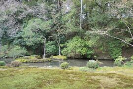 京都　優雅な冬旅♪　Vol.48 ☆南禅寺：冬の美しい南禅院庭園♪