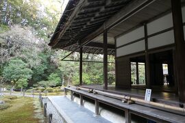 京都　優雅な冬旅♪　Vol.49 ☆南禅寺：冬の美しい南禅院庭園♪