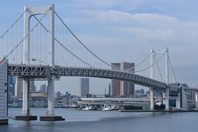 2022年１月末、前日から東京・お台場の「グランドニッコー東京台場」に宿泊し、この日はお台場周辺をぷらっと散策していきます。<br /><br />ホテルをチェックアウトした後、「お台場海浜公園」に広がるビーチに沿って歩き、まずは江戸時代末期の洋式海上砲台で、ここお台場の由来にもなった「品川台場」へ登城。<br />さらにその足で「レインボーブリッジ」の外側に設けられた遊歩道「レインボープロムナード」へと向かい、実際に橋を歩いて渡っていくことに。<br /><br />東京湾に架かる巨大な吊橋はまさにお台場のシンボルで、東京の都心部らしい高層ビル群とともに、ダイナミックな景色を楽しむことができました♪<br /><br /><br />〔2022.1 ぷらっと東京散歩〕<br />●Part.12（１日目）：グランドニッコー東京台場ホテルステイ<br />　https://4travel.jp/travelogue/11736477<br />●Part.13（２日目）：品川台場（続日本100名城）／レインボープロムナード【この旅行記】<br /><br />〔続日本100名城登城記〕<br />●九戸城（陸奥国）：https://4travel.jp/travelogue/11706487<br />●沼田城/名胡桃城/岩櫃城（上野国）：https://4travel.jp/travelogue/11525274<br />●龍岡城（信濃国）：https://4travel.jp/travelogue/11688694<br />●興国寺城（駿河国）：https://4travel.jp/travelogue/11533154<br />●大和郡山城（大和国）：https://4travel.jp/travelogue/11613989<br />●河後森城（伊予国）：https://4travel.jp/travelogue/11652466<br />●岡豊城（土佐国）：https://4travel.jp/travelogue/11548589