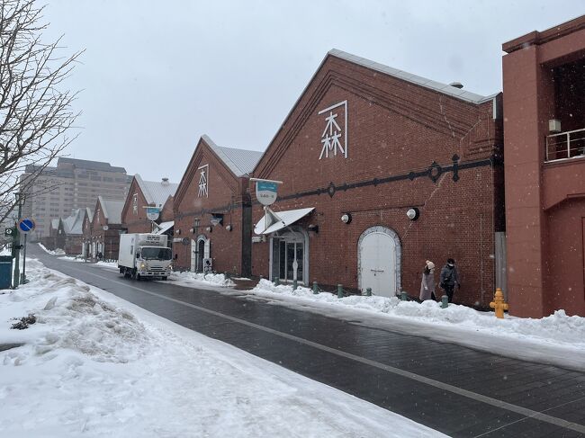 また雪を見たくなった、寒さを感じたくなったので今回は函館へ行きました<br /><br />雪の函館はオフシーズン<br />函館山は通行止めなので行ってません<br /><br />初めての函館ベタなところしか行ってません