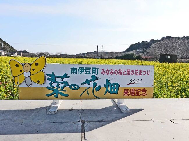 南伊豆へ菜の花と河津桜を見ようと自転車を車に積んで、出掛けました。<br />河津桜は少し早いかなと思ったけれど…。<br />その第3回で、“自転車でポタリング”です。<br /><br />★南伊豆町役場のHPです。<br />https://www.town.minamiizu.shizuoka.jp/<br /><br />★南伊豆町観光協会のHPです。<br />https://www.minami-izu.jp/?p=we-page-top-1<br /><br /><br />