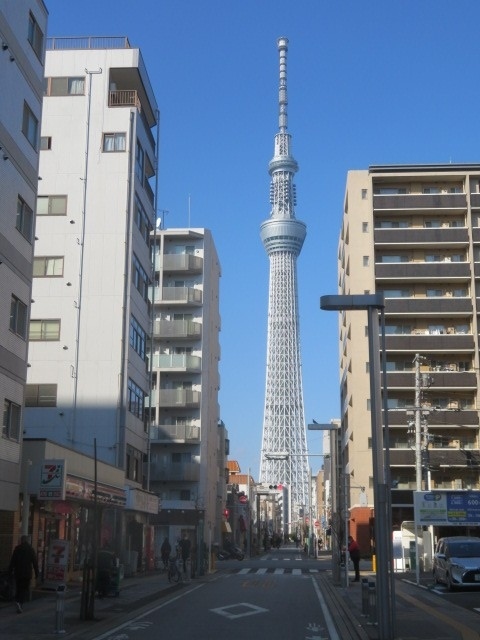 墨田区の東京スカイツリー近くにある横川と太平を散策、横川にある霊山寺と徳寿院境内を散策、太平にある法恩寺、法泉院、千栄院、陽運院境内を散策しました、陽運院を出て法恩寺参道入口の蔵前橋通りに出てちょっと歩いて東京スカイツリーが良く見えるタワービュー通り出ました、錦糸町駅付近まで歩ききました。<br /><br />横川にある霊山寺は山号が常在山、院号が二尊院で浄土宗の寺院で、本尊は釈迦如来、阿弥陀如来、創建は慶長6年（1601年）、元禄2年（1689年）に現在地に、子育て地蔵尊があります、そばにある徳寿院も浄土宗の寺院。<br /><br />太平にある法恩寺は山号が平河山、院号が本住院で日蓮宗の寺院で、本尊は十界曼茶羅、長禄元年（1457年）江戸平河に本住院と称し太田道灌公によって創建された、その後1524年道灌の孫資高が現在の法恩寺に改めました、法泉院、千栄院、陽運院は法恩寺の参道沿いにある日蓮宗の寺院です。<br /><br />各寺院を参拝・散策した後はタワービュー通りを歩いて錦糸町駅まで行きました。