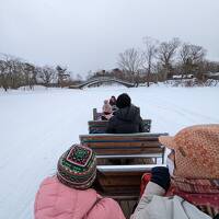 北海道新幹線で駆け抜ける子連れ冬旅1泊2日。温泉＆冬遊びで大満足の函館ほぼ弾丸旅！