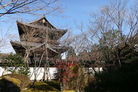 京都　優雅な冬旅♪　Vol.54 ☆南禅寺：冬の美しい天授庵庭園♪