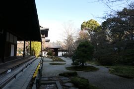 京都　優雅な冬旅♪　Vol.56 ☆南禅寺：冬の美しい天授庵庭園♪