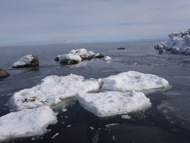 流氷を求めて彷徨った網走