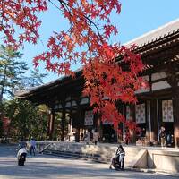 ありそで無かった奈良で宿泊＆世界遺産巡りしてみた！奈良パークホテルで1泊