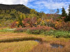 錦秋の栂池自然園散策2021～色鮮やかに染まる木々、草紅葉、秋の花と実～（長野）