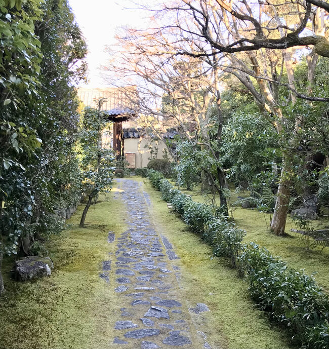 京の冬の旅2022（雪を逃れて一人旅）後半