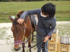 独立国どぅなん　与那国馬の瞳