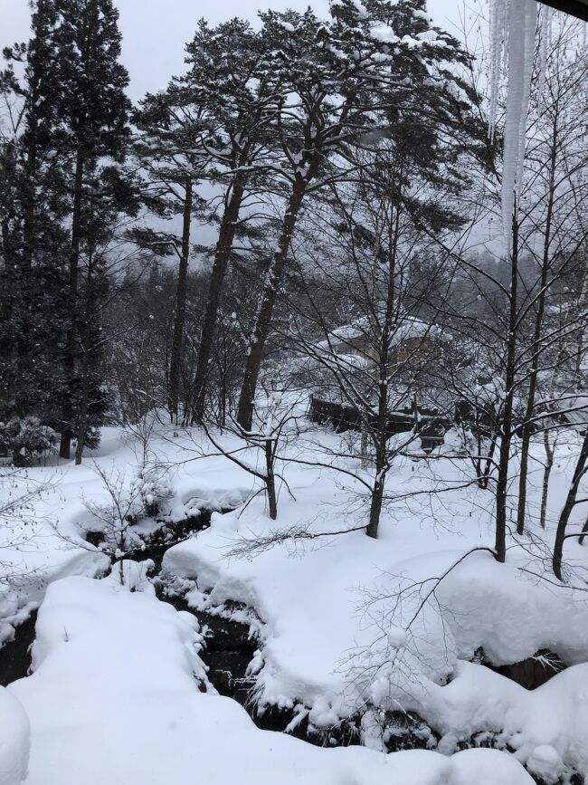 2022年の初旅行は、孫を連れて平湯温泉の深山桜庵に行って来ました。寒波後で大雪でしたが、雪道の運転は問題なく、雪見温泉を楽しめました。