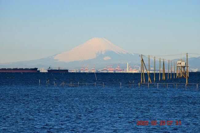 2月23日は天皇誕生日で祝日。<br />ですが、それ以前から223（富士山）の日とも呼ばれています。<br />朝から快晴だったのでその富士山も多分望めるだろうと考え、木更津の久津間海岸まで早朝ドライブしてみました。<br /><br />お目当ては富士山と久津間海岸の海中電柱の景色です。<br />https://tokyo-bay.biz/pref-chiba/city-kisarazu/ch0303/