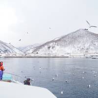 極寒の知床で流氷と天然記念物のオジロワシ・オオワシが見たくて - 真冬のひがし北海道 (1)
