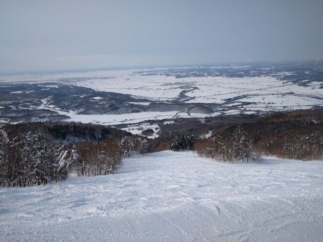 2022年2月14日～16日まで旭川へスキー旅行に行きました。<br />スキー旅行といっても滑ったのは1日であとは普通に観光をしていました。<br /><br />行ってきたスキー場はカムイスキーリンクス。雪質はバッチリで空いてて大変滑りやすかったです。<br /><br /><br />行程<br />2月14日<br />HND14:05-AKJ15:50    JAL555<br />ホテル　アマネク旭川　チェックイン<br />自由軒で夕食<br /><br />2月15日<br />9:00　旭川駅前発　路線バス乗車<br />9:40　カムイスキーリンクス着<br /><br />～スキータイム～<br />15:00　カムイスキーリンクス発　路線バス乗車<br />15:40　旭川駅前着<br /><br />温泉・地ビール館で夕食<br /><br />2月16日<br />9:55　旭川駅前発　路線バス乗車<br />10:03　上川神社前着<br />上川神社散策<br />11:04　上川神社前発　路線バス乗車<br />11:20　旭川駅前着<br />山頭火でラーメン<br />12:04　旭川駅発　石北本線上川行<br />13:15　上川駅着<br />日本酒「神川」を購入<br />14:16　上川駅発<br />15:22　旭川駅着<br /><br />北彩都プロムナード散歩<br />17:15　旭川駅前発　ふらのバス乗車<br />17:55 　旭川空港着<br /><br />AKJ20:00 HND21:55　JAL558