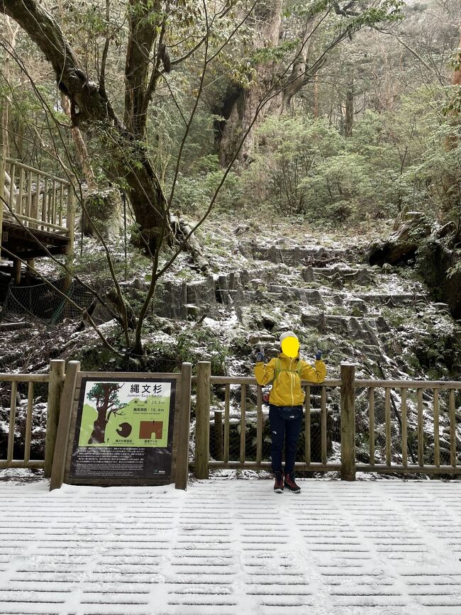 夫の誕生日祝いで2泊3日の屋久島旅行へ行くことにしました。<br />7年前の屋久島は、宮之浦岳登山がメイン。<br />今回のメインは、縄文杉トレッキングです。<br />そして、夫の誕生日祝いも兼ねているので、<br />2泊目はｓａｎｎｋａｒａホテルを予約しました(#^.^#)わくわく。<br /><br />なぜ、この時期に縄文杉へ行くかというと、シーズンオフは人が少ない<br />というのと、登山口まで車でいけるからです。<br />4月～11月までは登山口まで車で行けずバスに乗って登山口まで行くことになるのです。<br /><br />天気予報でトレッキングの日の確認をすると、曇り模様。<br />雨が降っても、行くよと夫が言う。<br />遠征はね、仕方ないな。。。日を選べないからね。<br />でもザァーザァー降りなら勘弁してほしいです(;・∀・)<br />もうね、雨のトレッキングはかなり辛いですからね。。<br />どうか、晴れなくても良いから雨がふりませんようにと祈るのでした。<br />ガイドをお願いすると、楽なんだろうけど登山に慣れているので、いつものごとく二人で行動です。<br />チェックポイントなどの下調べは、夫が。私もちょっと調べました(^｡^)<br />地図は、YAMAPを使います。<br /><br /><br />