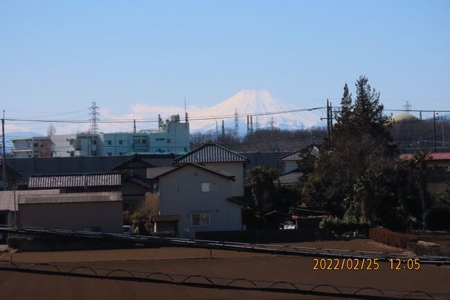2月25日、午後0時頃にふじみ野市から富士山が見られました。気温が12℃まで上がり本日より春らしい陽気になってきました。<br /><br /><br /><br /><br />*写真は午後0時頃に見られた富士山<br /><br /><br /><br /><br />