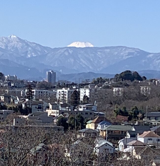 小山田緑地都立公園から多摩ニュ－タウンまで歩いた。