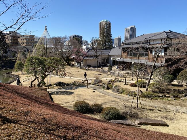 空気はまだ冷たいですが、日向では徐々に力強い日差しを感じ始めました。<br />今回は東京散策。<br />文京区の肥後細川庭園に行ってきました。