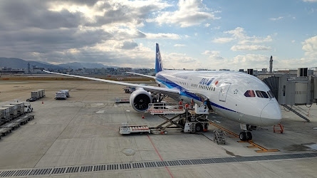 「ANAにキュン!」の国内線特典減額マイルキャンペーンを利用して、福岡2泊3日のグルメの旅へ行ってきました。 <br /> 帰りのANA便は、運航開始したばかりの78Gに運良く搭乗することができました。<br /> 宿泊は、1泊目が中洲川端の「博多エクセルホテル東急」。朝食をホテルより徒歩数分の「博多めんたい重」で考え、朝9時に行ったところ大行列。テイクアウトして部屋でゆっくり食べることができ、ホテルの選択が大正解でした。<br /> 2泊目は、「ヒルトン福岡シーホーク」。貯まったポイントを使用し、ヒルトンダイヤモンド会員の特典を利用して宿泊しました。<br /> 食事は、1日目の昼が「水たき長野」、夜が「もつ鍋おおやま本店」。2日目の朝が「博多めんたい重」、昼が糸島の牡蠣小屋「千龍丸」、夜が西新の焼き鳥屋「弁慶」。3日目の昼が「稚加栄」。<br /> 予約できた「水たき長野」「もつ鍋おおやま」「弁慶」「稚加栄」は、待ち時間なしで入店できましたが、この4店はいずれも予約必須です。<br /><br />●行程<br />2021.12.17(金)<br />・ANA247 羽田(09:45)→福岡(11:50)<br />・水たき長野(昼食)<br />・もつ鍋おおやま本店(夕食)<br />・博多エクセルホテル東急(泊)<br />2021.12.18(土)<br />・元祖博多めんたい重(朝食)<br />・トヨタレンタカー 中洲店(10:30)→中洲店(14:30)<br />・糸島の牡蠣小屋 千龍丸(昼食)<br />・西新の焼き鳥屋 弁慶(夕食)<br />・ヒルトン福岡シーホーク(泊)<br />2021.12.19(日)<br />・稚加栄(昼食)<br />・ANA256 福岡(14:20)→羽田(15:55)