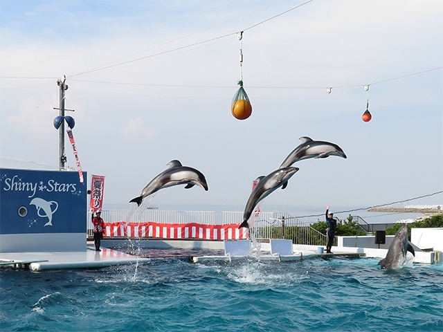 四国+α動物園巡り2019/08その1　【みさき公園】