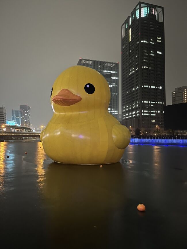 毎年恒例の大、阪北区の市役所から中之島の光のルネサンスに同僚と行きました。<br /><br />今年もコロナ過で、中之島公会堂のプロジェクションマッピングはないし、飲食店は出ていないし、寂しいイブの夜でした。<br /><br />