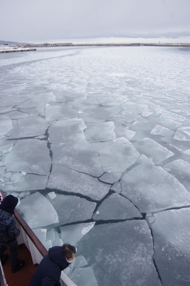いつか実際に見てみたいと思っていたオホーツク海沿岸の流氷を見に行きました。<br />せっかくなので、３日間流氷尽くめの体験ツアーを選んで参加します。<br />初日は紋別のガリンコ号に乗船。２日目は網走でおーろらに乗船。<br />午後に知床で流氷ウォーク、３日目は野付半島で氷平原ウォークです。<br />　前編で初日の紋別ガリンコ号でのサンセットクルーズの様子を書きました。<br />後編は２日目以降です。紋別を出発して網走へ向かいます。<br />オホーツク沿岸をバスは走りますが、昨日見た流氷は遥か沖に流れて行ってしまい、<br />殆ど見えなくなっていました。網走では、砕氷船おーろらに乗船しました。<br />港内に取り残された流氷で流氷クルーズをするのです。<br />岸に戻ると「流氷ウォーク」は流氷が無いため中止と告げられました。<br />代わりに知床の道の駅の隣にある「知床世界遺産センター」を訪れました。<br />既にものすごい暴風雪となり、わざわざこの状況で知床まで行く必要があったのか?<br />この日は網走と知床の間にある斜里に泊まりました。<br />爆弾低気圧は知床の目と鼻の先で急速に発達して行きました。<br />そして、そのまま斜里から出ることが出来なくなり、延泊２日です。<br />知床の恐ろしいまでの大自然を体中で体感して来ました。<br />