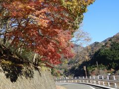 丹沢湖紅葉狩り（２）中川温泉まで