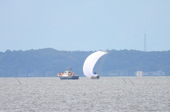 　稲敷市で霞ケ浦湖畔の散策＆バードウォッチングを楽しみました。<br /><br />表紙写真は、稲敷市の霞ケ浦湖畔から見た白帆舟の風景です。<br />