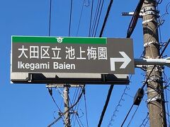 暖かくなって、池上梅園と池上本門寺へ！