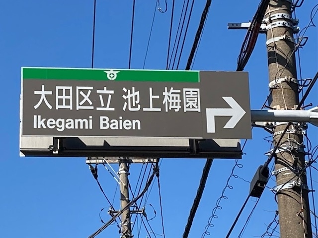 暖かくなって、池上梅園と池上本門寺へ！