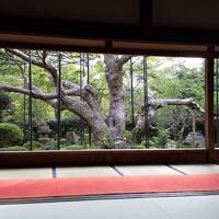 京都大原一日目～宝泉院と音無しの滝