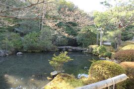 京都　優雅な冬旅♪　Vol.63 ☆南禅寺：冬の美しい金地院庭園♪