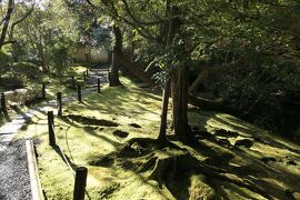 京都　優雅な冬旅♪　Vol.64 ☆南禅寺：冬の美しい金地院庭園♪
