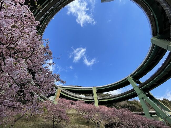 河津桜と稲取散策からの帰り道、修善寺に立ち寄り北条政子とその長男、頼家ゆかりの場所を訪ねました。<br />指月殿は初めて行きましたが、800年前に建てられた伊豆最古の建物で、中には立派な釈迦如来像が。北条政子が、若くして亡くなった頼家の供養のために建てたそうです。静かな場所でひっそり佇んでいました。