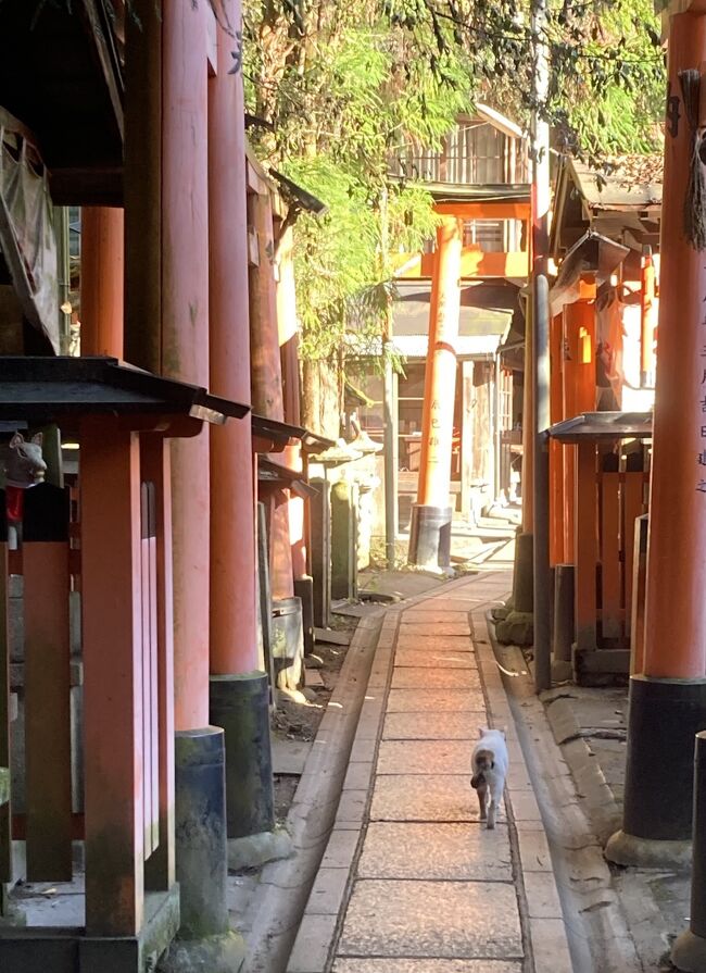 ★街十色～ 京都のいろ　伏見でお山巡りと大河と黄桜、そしてキュウ★