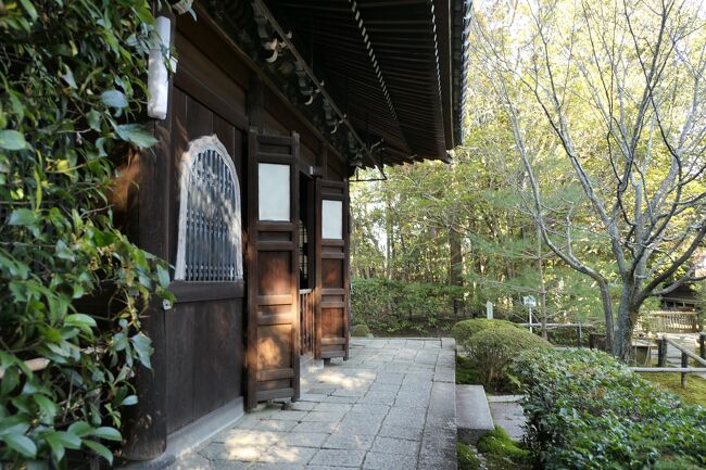 2022年1月8日-10日、冬の京都に行きました♪<br />ホテルライフとグルメ、寺や神社、庭園をたっぷりと楽しんできました♪<br /><br />☆Vol.65　1月9日：京都♪<br />烏丸にある「THE HIRAMATSU 京都」から日帰り観光。<br />南禅寺はどこを歩けばいいのか迷うほど広大な境内。<br />三門を抜けて南禅寺法堂に厳かに参拝。<br />南禅寺の代表する方丈庭園は江戸の枯山水庭園と渡り廊下に広がる傾斜のある表情豊かな庭園。<br />南禅院庭園は池を配置して山の斜面を利用した自然豊かな庭園。<br />南禅院から水路閣をくぐり抜けて天授庵へ。<br />天授庵の方丈庭園と同じような枯山水の庭園と広大な池を有した緩やかな起伏が広がった自然豊かな庭園。<br />金地院へ。<br />ここでも起伏に富んだ庭園が広がり、<br />池や川、苔が美しい。<br />奥には小さな東照宮もあり、<br />徳川家との繋がりが見られる。<br />最後に広大な枯山水の庭園。<br />金地院はコンパクトな庭園で歩きやすい。<br />ゆったりと歩いて眺めて♪